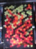 gal/Quiltefestival i Middelfart 2011/Quilts/thumbnails/_thb_IMG_2482.JPG